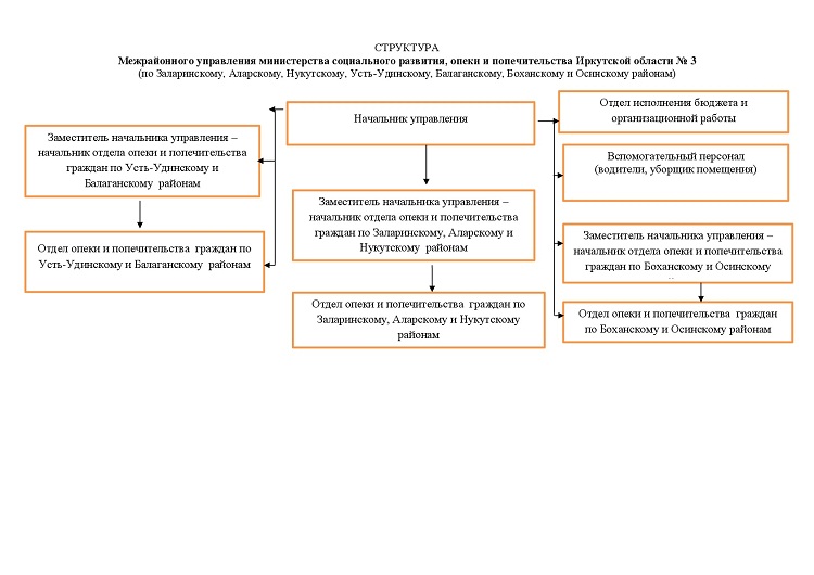 Управление министерства социального развития. Структура опеки и попечительства схема. Структура отдела опеки и попечительства. Структура управления Иркутской области. Схема структуры отдела ОП.