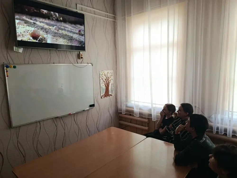 просмотр художественного фильма